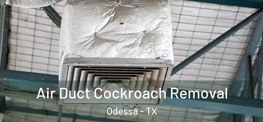 Air Duct Cockroach Removal Odessa - TX