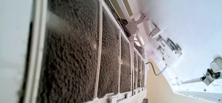 Preventive Air Duct Bacteria Removal in Odessa