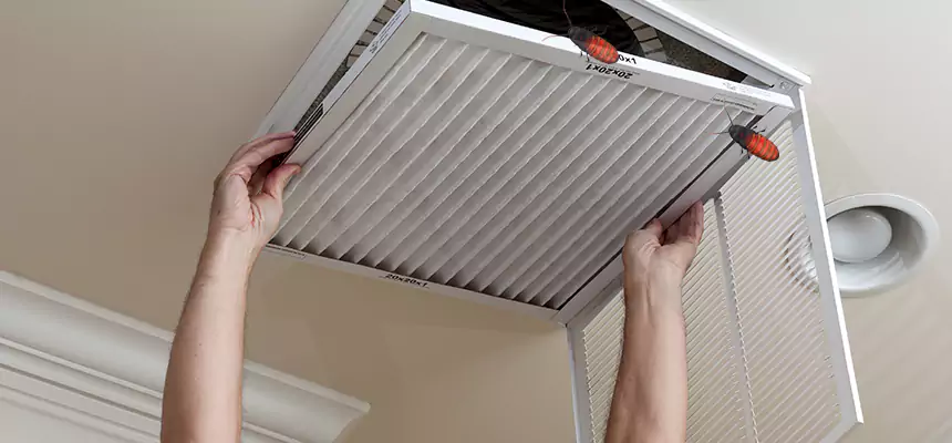 Preventive Cockroach-Proofing for Ducts in Odessa