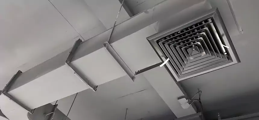 Restorative Allergy Relief Vent Cleaning – Coil, Blower & Housing Detail in Odessa