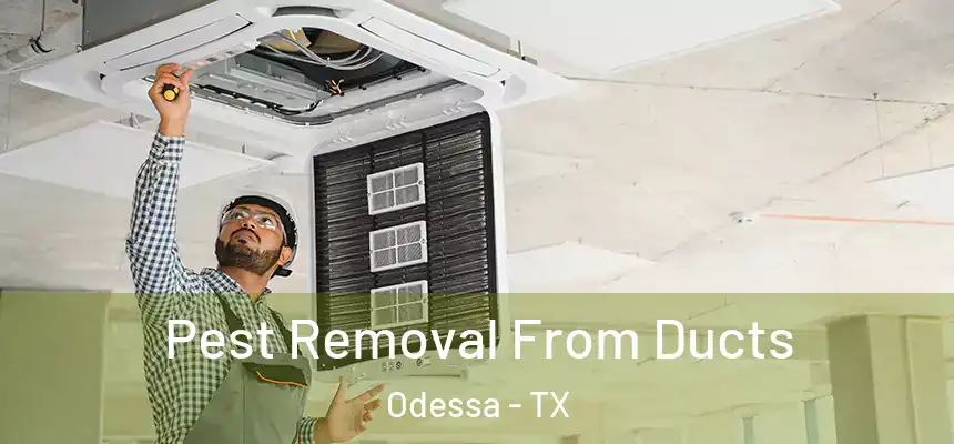 Pest Removal From Ducts Odessa - TX