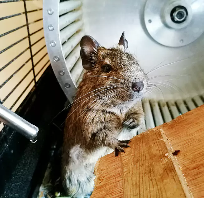 Why Homeowners & Businesses Trust Us Odessa, TX?